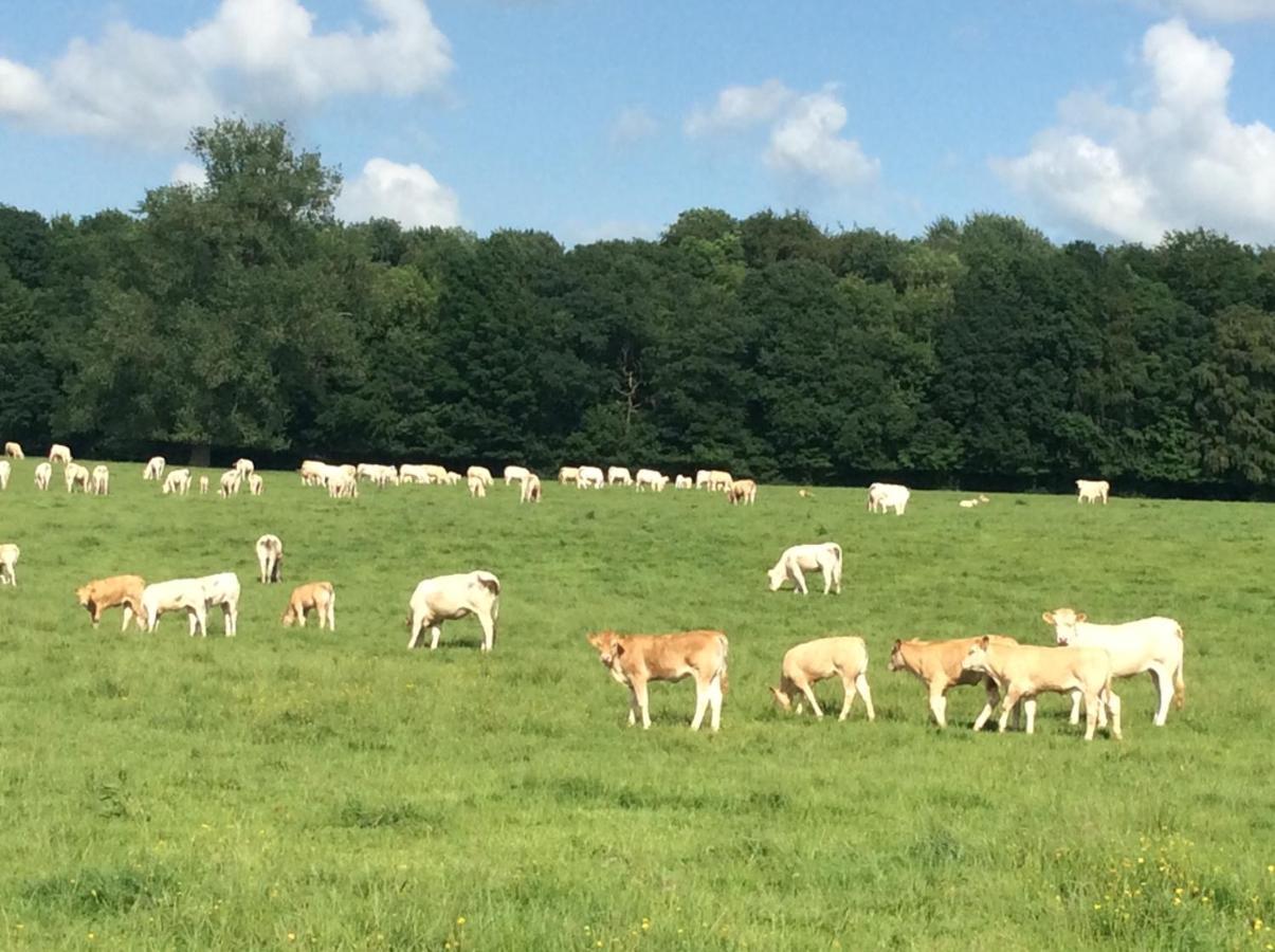 Aux Bois Dores De La Ferme De Sorval, Animaux De La Ferme, Fitness Selvigny Exteriör bild