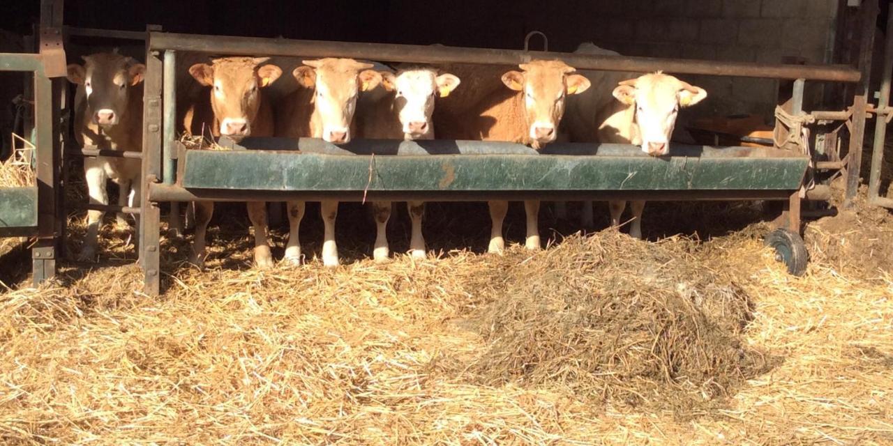 Aux Bois Dores De La Ferme De Sorval, Animaux De La Ferme, Fitness Selvigny Exteriör bild