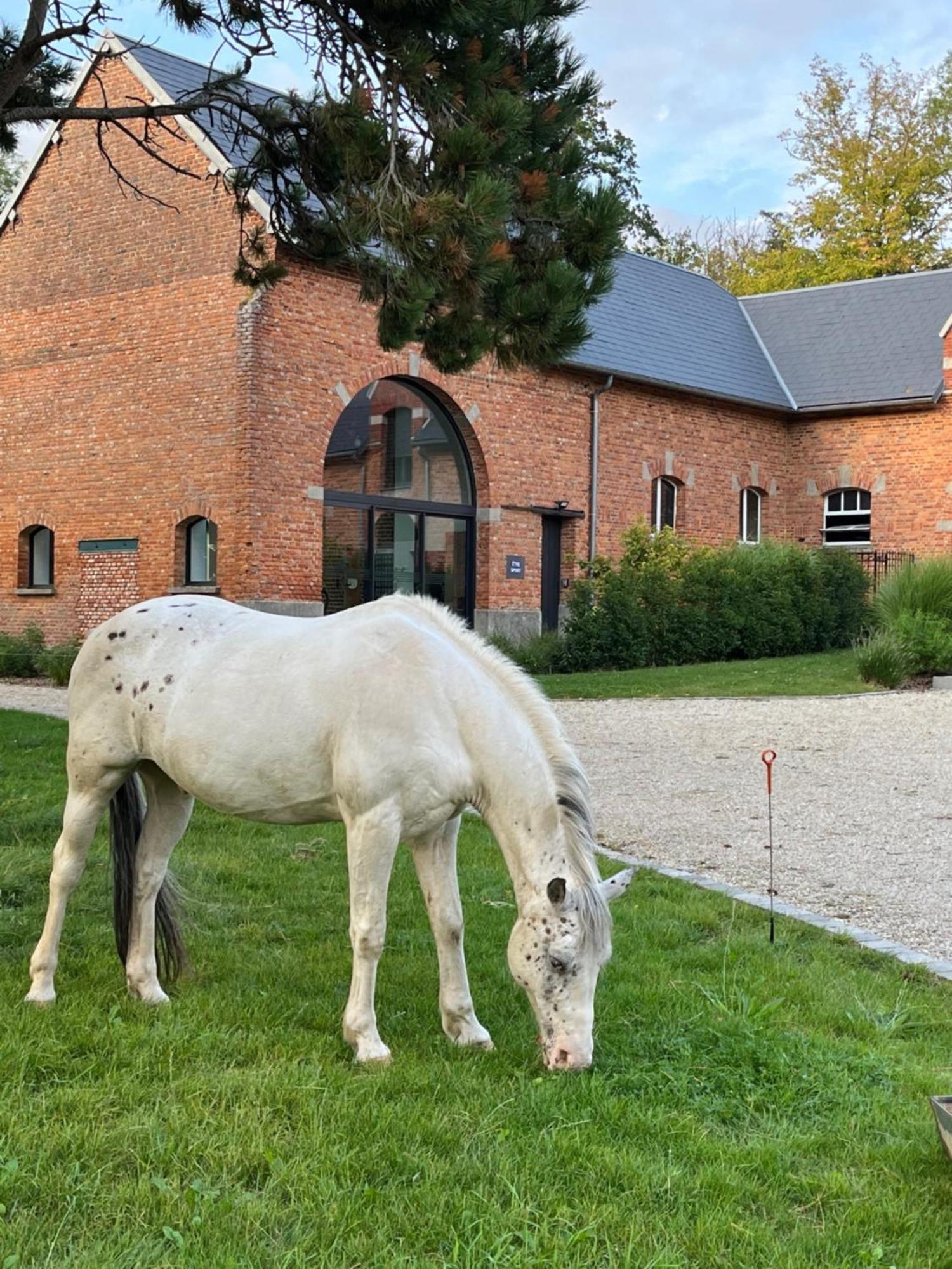 Aux Bois Dores De La Ferme De Sorval, Animaux De La Ferme, Fitness Selvigny Exteriör bild